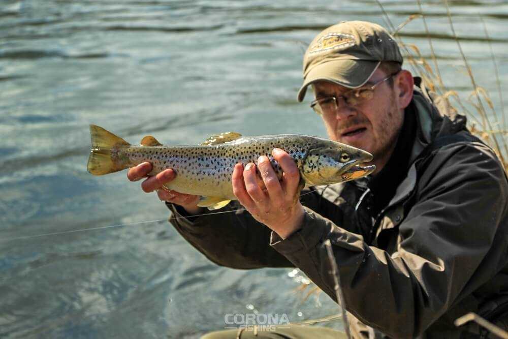 łowienie pstrągów potokowych w słońce